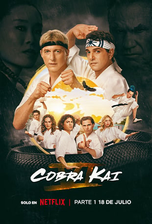 Cobra Kay: T6